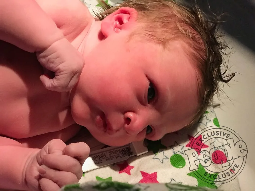 Zeppelin Adele Gilford